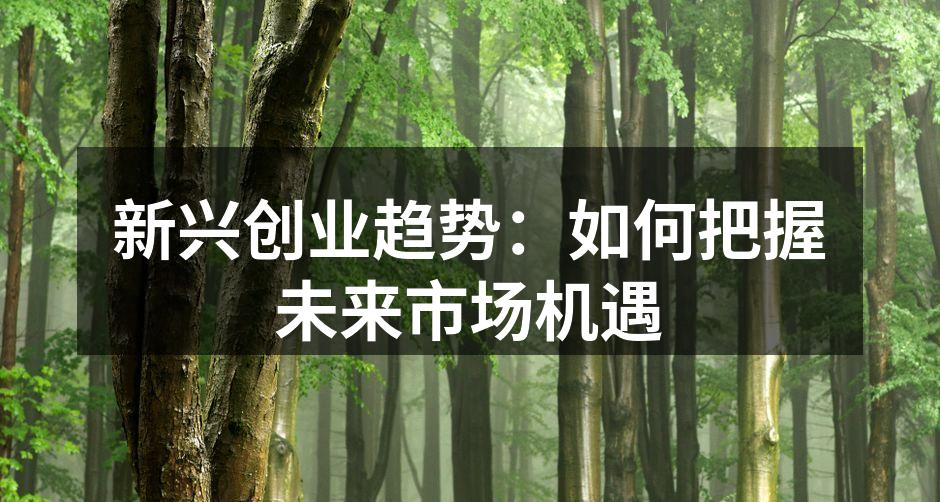 新兴创业趋势：如何把握未来市场机遇